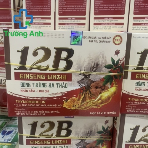 12B Ginseng Linzhi Đông Trùng Hạ Thảo