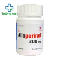 Allopurinol 300Mg (100 Viên/Lọ)