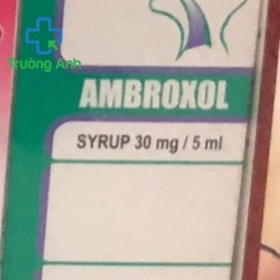 Ambroxol 30Mg/5Ml Flamingo
