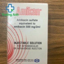 Amikan 500Mg/2Ml