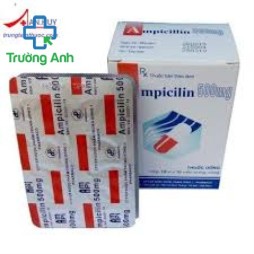 Ampicilin 500Mg Tw1