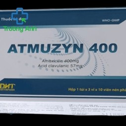 Atmuzyn 400