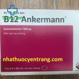 B12 Ankermann