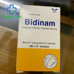 Bidinam