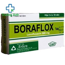 Boraflox 500Mg