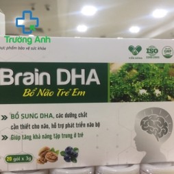 Brain Dha