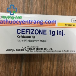 Cefizone 1G