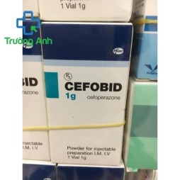 Cefobid 1G