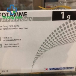 Cefotaxime Panpharma 1G
