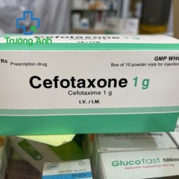 Cefotaxone 1G
