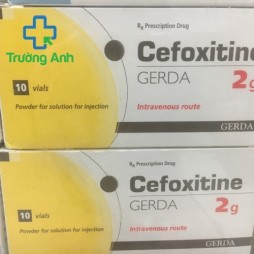 Cefoxitine 2G Gerda