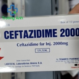 Ceftazidime 2000