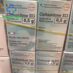 Ceftazidime Eg 0.5G