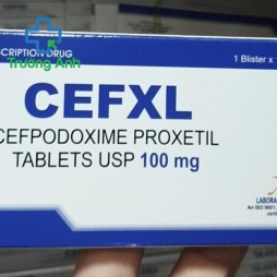 Cefxl 100Mg