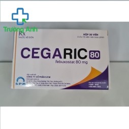 Cegaric 80Mg