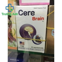 Cere Brain