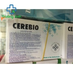 Cerebio