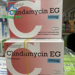 Clindamycin Eg 300Mg