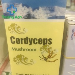 Cordyceps