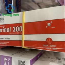 Darinol 300Mg