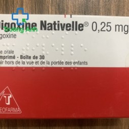 Digoxine Nativelle 0.25Mg