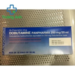 Dobutamine Panpharma 250Mg/20Ml