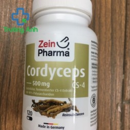 Đông Trùng Hạ Thảo Cordyceps Cs-4