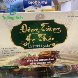 Đông Trùng Hạ Thảo Linhzi Gold