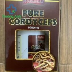 Đông Trùng Hạ Thảo Pure Cordyceps
