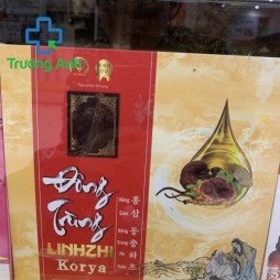 Đông Trùng Linhzhi Korya
