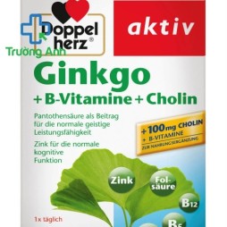 Doppel Herz Ginkgo