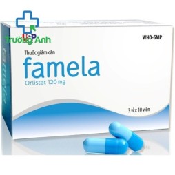 Famela 120Mg
