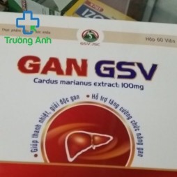 Gan Gsv