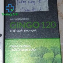 Gingo 120