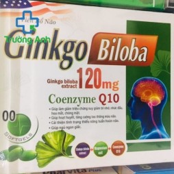 Ginkgo Biloba 1200Mg With Coenzyme Q10