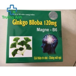 Ginkgo Biloba 120Mg