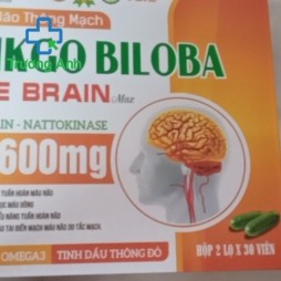Ginkgo Biloba Cere Brain Max