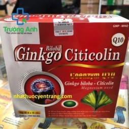 Ginkgo Biloba Citicolin Q10