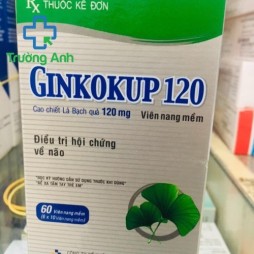 Ginkokup 120Mg