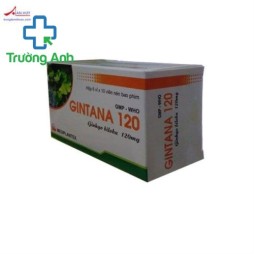 Gintana 120Mg