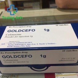 Goldcefo 1G