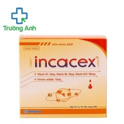 Incacex