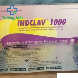 Indclav 1G