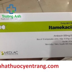 Itamekacin 500Mg/2Ml