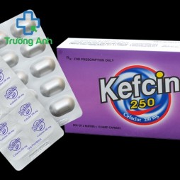 Kefcin 250Mg