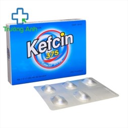 Kefcin 375Mg