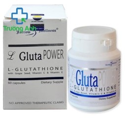 L Gluta Power