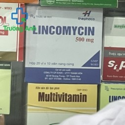 Lincomycin 500Mg 200 Viên