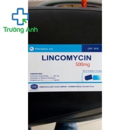 Lincomycin 500Mg Armephaco 100 Viên