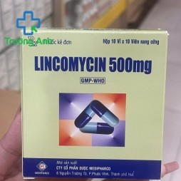 Lincomycin 500Mg